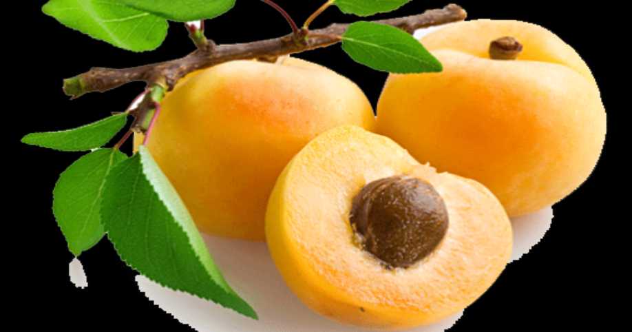 Apricot oil