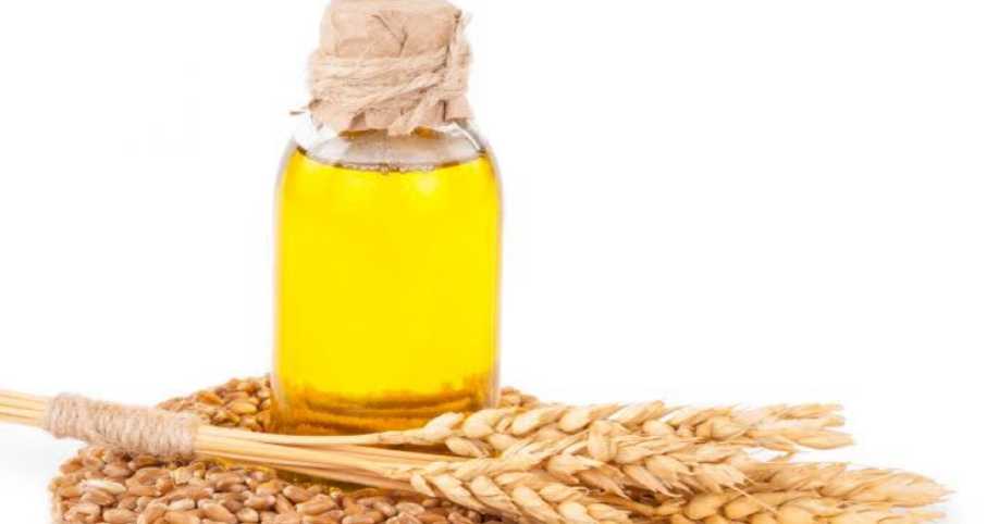 Wheat germ oil